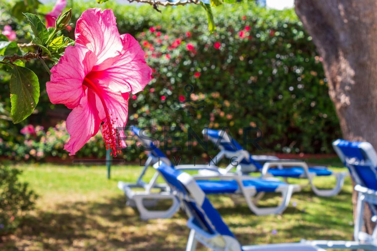 Playaflores Bella Vista トレモリノス エクステリア 写真
